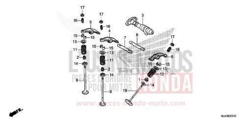 VALVE ARBRE A CAME (ARRIERE) VT750CSD de 2013